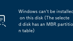 Windows kann auf dieser Festplatte nicht installiert werden (die ausgew?hlte Festplatte hat eine MBR Partitionstabelle)