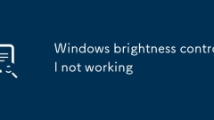 Windows -Helligkeitskontrolle funktioniert nicht