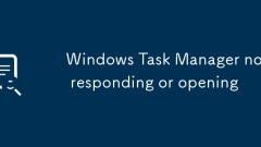 Windows Task -Manager antwortet oder ?ffnet nicht