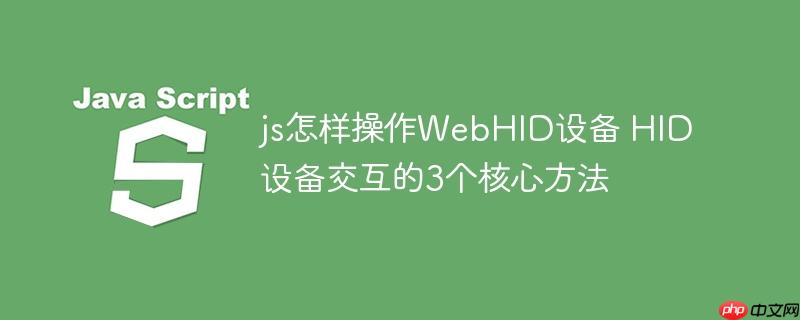 js怎样操作WebHID设备 HID设备交互的3个核心方法