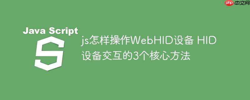js怎样操作WebHID设备 HID设备交互的3个核心方法