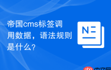 帝国cms标签调用数据，语法规则是什么？