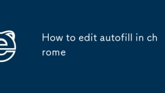 Cara Mengedit Autofill di Chrome
