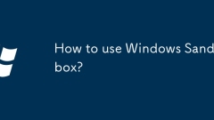 Windows Sandbox? ???? ???