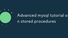 Tutoriel avancé MySQL sur les procédures stockées