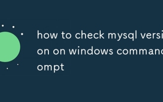 So überprüfen Sie die MySQL -Version in der Windows -Eingabeaufforderung
