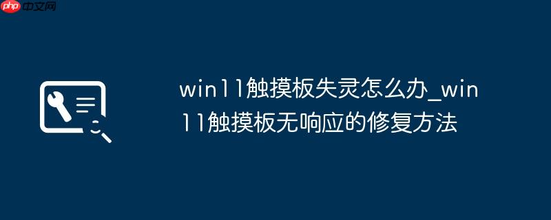 win11触摸板失灵怎么办_win11触摸板无响应的修复方法