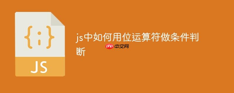 js中如何用位运算符做条件判断