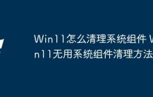 Win11怎么清理系统组件 Win11无用系统组件清理方法