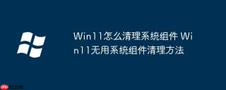 Win11怎么清理系统组件 Win11无用系统组件清理方法