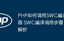 PHP如何调用SWC编译器 SWC编译调用步骤解析