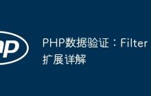 PHP数据验证：Filter扩展详解