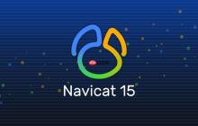 Navicat启动时闪退如何修复闪退问题的环境检测与修复方案