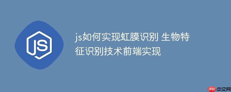 js如何实现虹膜识别 生物特征识别技术前端实现