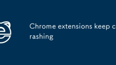 Sambungan Chrome terus terhempas