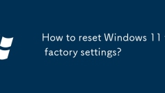 ?? ???? Windows 11? ????? ??? ??????