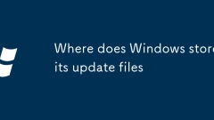 Where does Windows store its update files