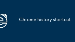 Pintasan Sejarah Chrome