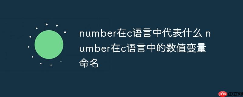 number在c语言中代表什么 number在c语言中的数值变量命名