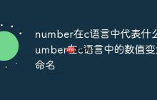 number在c语言中代表什么 number在c语言中的数值变量命名