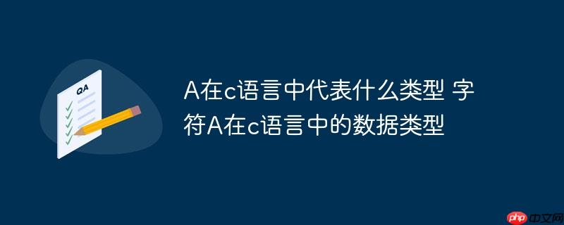 A在c语言中代表什么类型 字符A在c语言中的数据类型