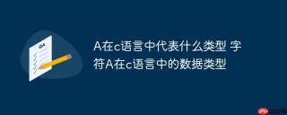 A在c语言中代表什么类型 字符A在c语言中的数据类型