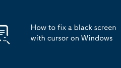How to fix a black screen with cursor on Windows