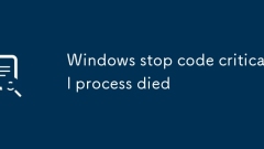 Windows stop code critical process died