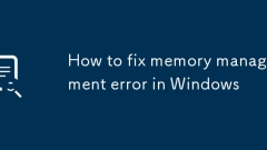 How to fix memory management error in Windows