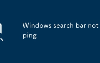 Windows search bar not typing