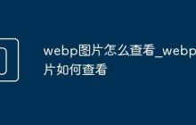 webp图片怎么查看_webp图片如何查看