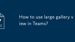 How to use large gallery view in Teams?