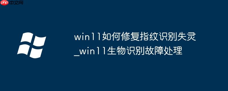 win11指纹设置失败 win11指纹解锁失效