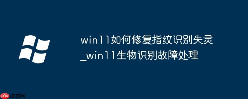 win11如何修复指纹识别失灵_win11生物识别故障处理