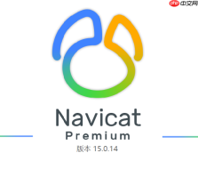 Navicat自动断开连接怎么处理自动断开连接的保持连接设置技巧