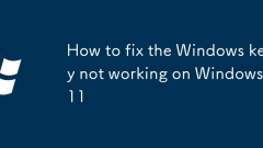How to fix the Windows key not working on Windows 11
