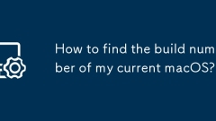 How to find the build number of my current macOS?