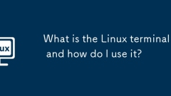 Apakah terminal Linux dan bagaimana saya menggunakannya?