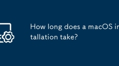 How long does a macOS installation take?