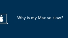 Warum ist mein Mac so langsam?