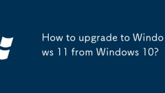 Wie upgrade ich von Windows 10 auf Windows 11 ein?