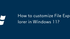 Windows 11?? ?? ???? ??? ???? ??? ??????