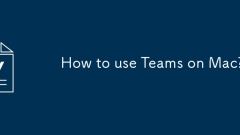 How to use Teams on Mac?
