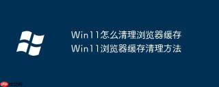 Win11怎么清理浏览器缓存 Win11浏览器缓存清理方法