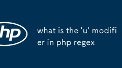 PHP REGEX中的' U”修饰符是什么