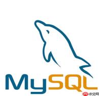 mysql中cno是什么意思 mysql列名常见缩写解析