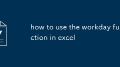 how to use the workday function in excel