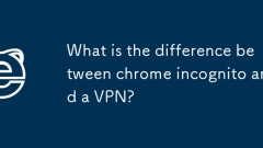 Apakah perbezaan antara Chrome Incognito dan VPN?