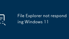 文件資源管理器不響應(yīng)Windows 11