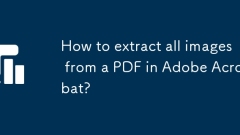 How to extract all images from a PDF in Adobe Acrobat?